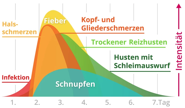 Verlauf einer Grippe Grippe oder Erkältung: Verlauf einer Grippe