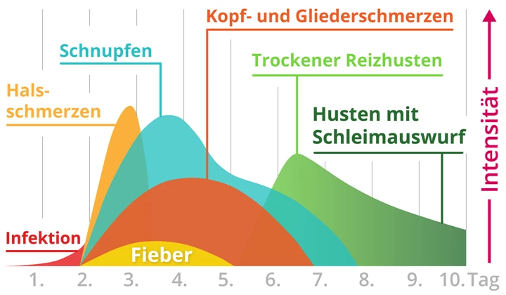 Verlauf einer Erkältung Grippe oder Erkältung: Verlauf einer Erkältung